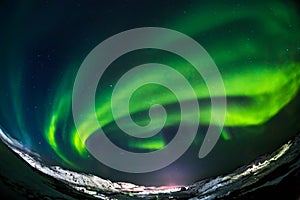 Aurora borealis Green on Teriberka in Murmansk region photo