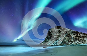 Aurora borealis on the Lofoten islands, Norway. Green northern lights above mountains and ocean shore. Night winter landscape with