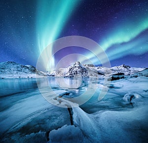 Aurora Borealis, Lofoten islands, Norway. Nothen light, mountains and frozen ocean. Winter landscape at the night time.