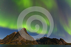 Aurora Borealis on the Lofoten Islands, Reine Norway. Green northern lights above mountains. Night sky with polar sky