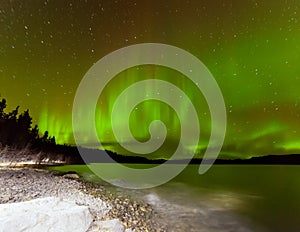 Aurora borealis night sky over Lake Laberge Yukon