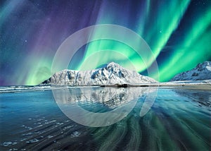 Aurora Borealis, Northern Lights Above on snowy mountain in Skagsanden Beach at Lofoten Islands