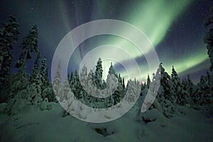 Aurora borealis (Northern Lights) in Finland, lapland forest