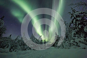 Aurora borealis (Northern Lights) in Finland, lapland forest