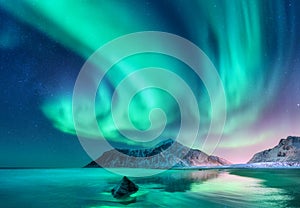 Alumno. del Norte las luces en islas Noruega 