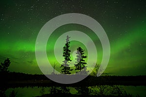 Aurora borealis or Northern lights observed in Yellowknife, Canada, on August, 2019