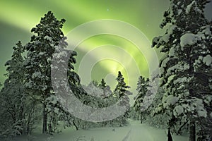 Aurora borealis over a path through winter landscape, Finnish La photo