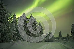 Aurora borealis over a track through winter landscape, Finnish L