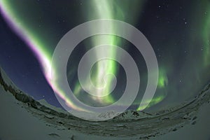 Aurora Borealis - Spitsbergen