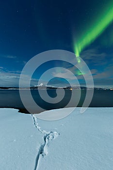 Aurora dance over winter landscape