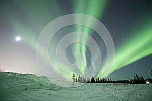 Aurora in Fairbanks photo
