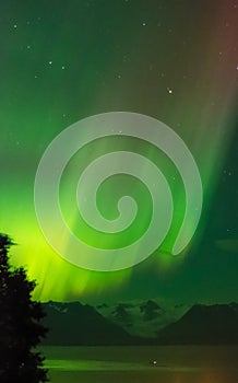 Aurora over Grewingk Glacier