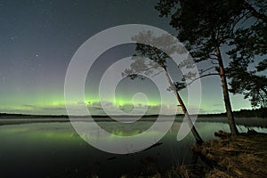 Aurora polar lights observing photo