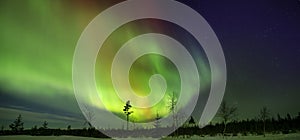 Aurora shining ,Swedish forest landscape