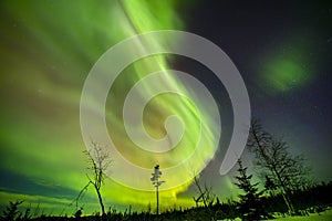 Aurora shining ,Swedish forest landscape
