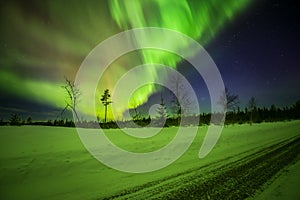 Aurora shining ,Swedish forest landscape