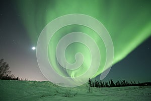 Aurora swirl near Fairbanks