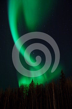 Aurora twist