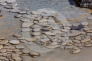 Aurum Geyser Details at Yellowstone National Park