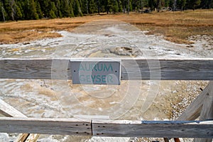 Aurum Geyser, a hot spring thermal feature in the Upper Geyser Basin in Yellowstone National Park