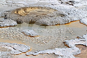 Aurum Geyser of Yellowstone Wyoming