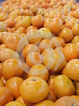 Aus Honey murcott orange Citrus is a fruit with a sour, sweet flavor
