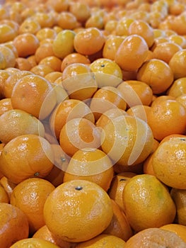 Aus Honey murcott orange Citrus is a fruit with a sour, sweet flavor
