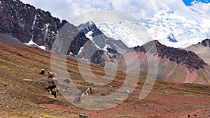 Ausangate glacier and the mountains of the Cordillera Vilcanota. Cusco, Peru