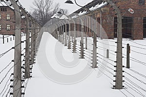Auschwitz
