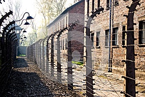 Auschwitz Barbed Wire