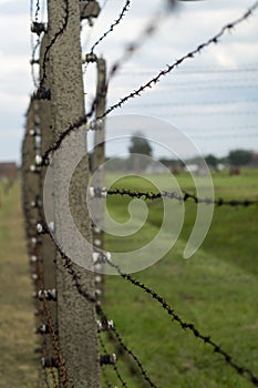 Auschwitz Barbed wire