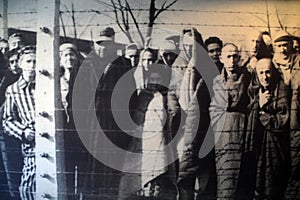 Concentration camp victims photos