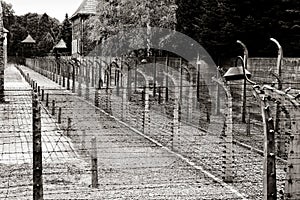 Auschwitz