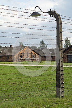 Auschwitz Barbed wire
