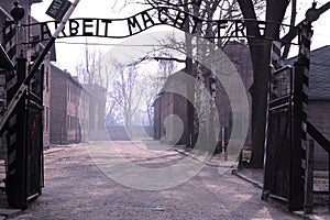 Auschwitz 1