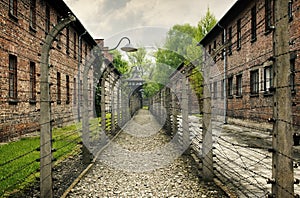 Auschwitz