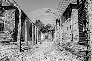 Auschwitz Fence