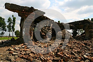 Auschwitz gas chambers