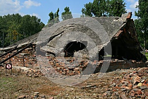 Auschwitz gas chambers