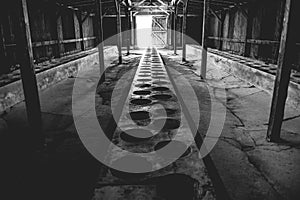 Auschwitz II - Birkenau latrine barracks