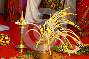 Auspicious Wick Lamp and Paddy Setting for Hindus photo