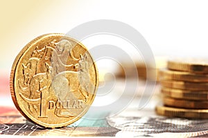 Aussie One Dollar Coins photo