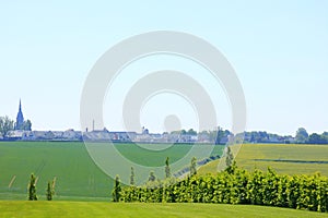 The austalian cemetery of the fisrt worldwar at villers bretonneux in picardy