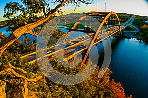 Austin 360 Bridge Pennybacker Bridge Golden Sunset Tree photo