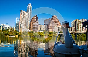 Austin Texas Downtown Skyline Reflection Sunset Golden Hour with Swan Floating on Town Lake