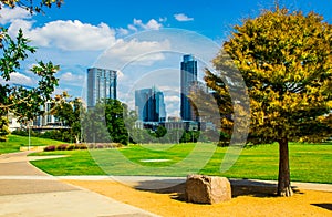 Austin Texas Grass Park near Downtown Pine Tree Fall Colors. photo