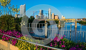 Austin Texas Growing City with Cranes and Colorful Flowers on bridge Over Town Lake photo