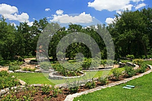 Austin Zilker Taniguchi Gardens in Austin photo