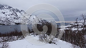 Austnesfjorden view to the Norwegian sea in the Lofoten in winter in Norway