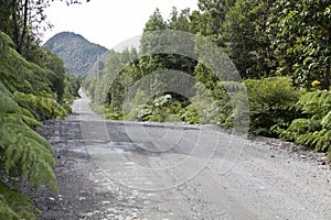 The austral road crossing through Pumalin park.